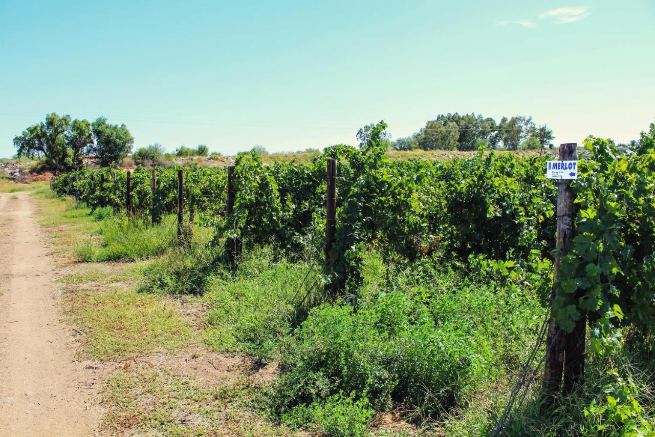Bezalel Wine & Brandy Estate Villa Kanoneiland Exterior photo