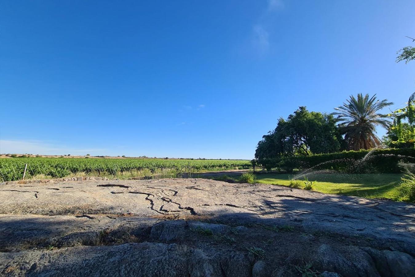 Bezalel Wine & Brandy Estate Villa Kanoneiland Exterior photo